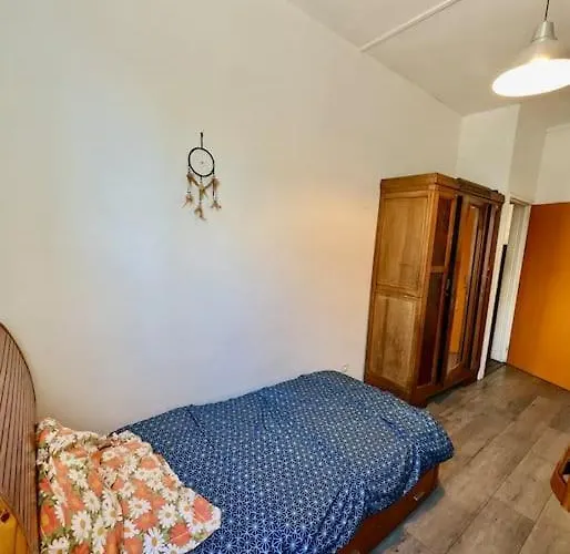 Superbe - Centre & Equipee Avec Wifi Apartament Grenoble